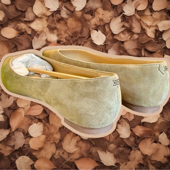 NWT Sam Edelman ‘Sally’ Pointed Toe Flats in “Oatmeal” Suede Leather Size 11 - Picture 11 of 16